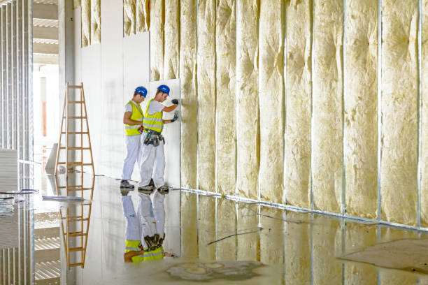 Best Insulation Maintenance and Repair in Ben Lomond, CA